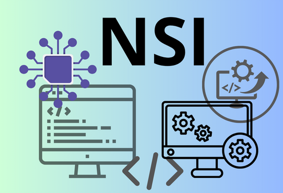 NSI